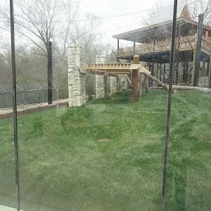 Amur Leopard Exhibit