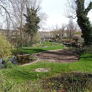 Chilean flamingo enclosure (04/2022)