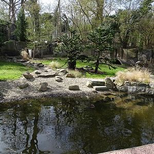 Enclosure for southern pudu, lake duck and speckled teal (04/22)