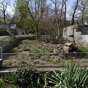 Enclosure for meerkats (04/22)