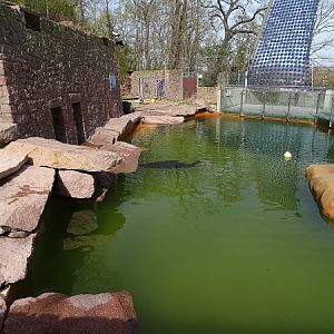 Fur seal enclosure (04/22)