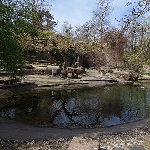 Brown pelican enclosure (04/22)