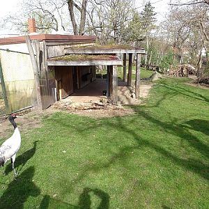 Enclosure for red panda, tufted deer and black-necked crane (04/22)