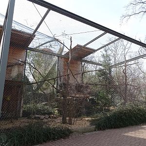 Enclosure for snowy owls (04/22)