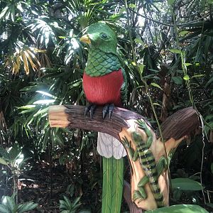 Resplendent Quetzal Model