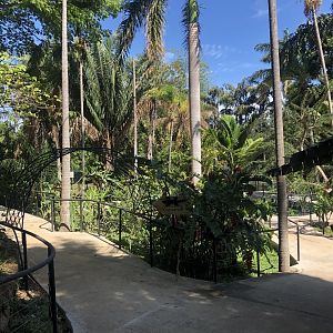 Reptile Area (Turtles & Crocodile)