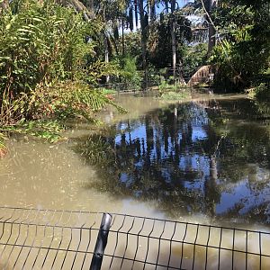 American Crocodile Enclosure