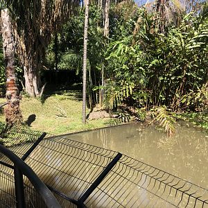 American Crocodile Enclosure