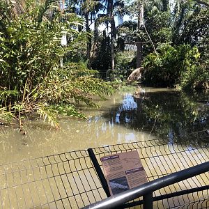 American Crocodile Enclosure