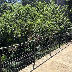 Reptile Area (Turtles & Crocodile)