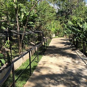 Reptile Area (Turtles & Crocodile)