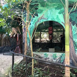 Jaguar Enclosure