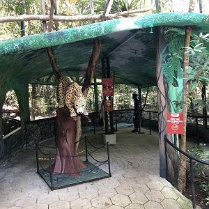 Jaguar Enclosure