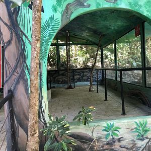 Jaguar Enclosure