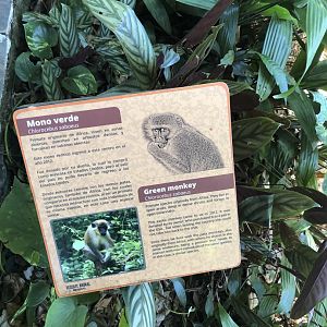 Green Monkey Signage
