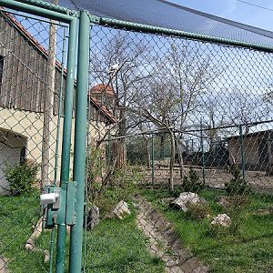 Enclosure for Egyptian vultures