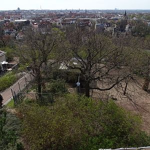 Corsac fox and bharal/takin enclosures seen from above (04/22)