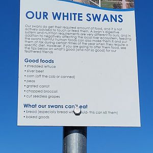 Sign beside the Swan feeder @ Northam WA