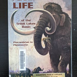 Ancient Life of the Great Lakes Basin