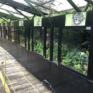Snake Enclosures
