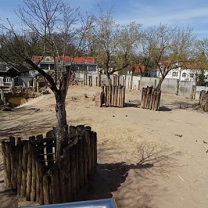 African elephant enclosure (04/22)