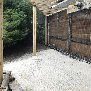 New aviary shelter