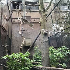 Diana monkey enclosure (2)