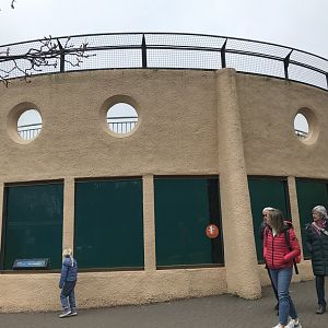 Penguin underwater viewing area