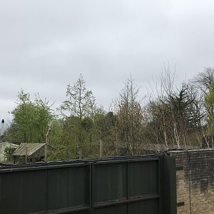 Former giant panda enclosure