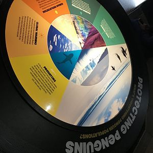 Penguin threats signage