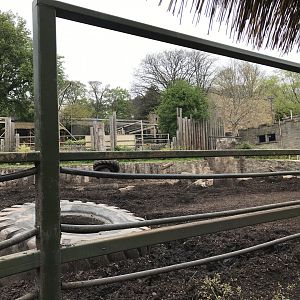 Indian rhino enclosure