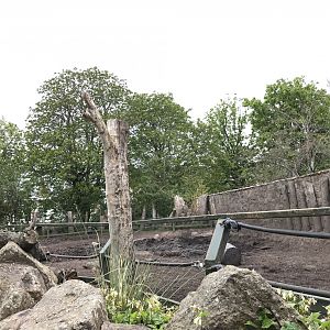 Indian rhino enclosure (2)