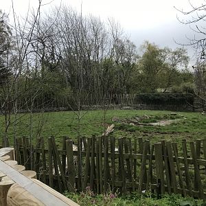 Banteng enclosure (2)