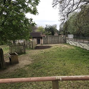 Banteng enclosure (3)