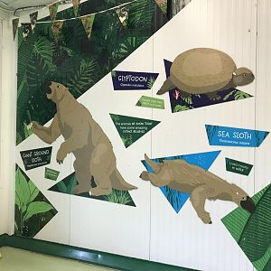Prehistoric sloth signage