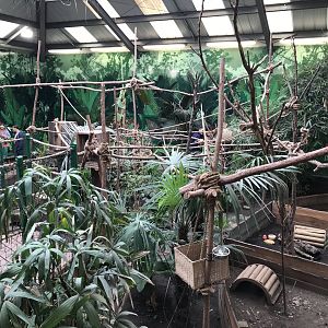 2 toed sloth enclosure (2)