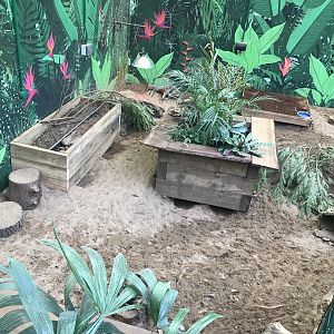 Hairy armadillo enclosure