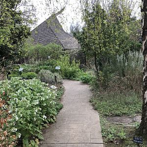 Physic garden