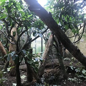 Night monkey enclosure