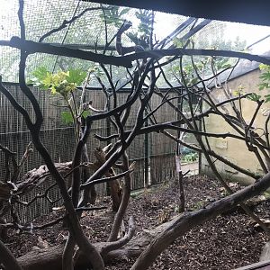 Cloud rat enclosure