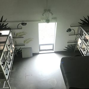 Living links east- “Interview room”