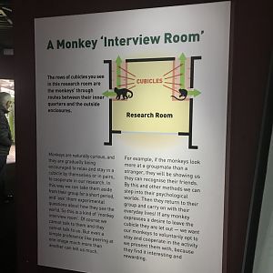 “Interview room” signage