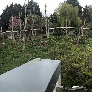 Living links east- Brown capuchin and squirrel monkey enclosure (2)