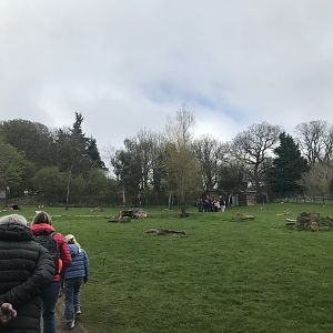 Wallaby and kangaroo enclosure (3)