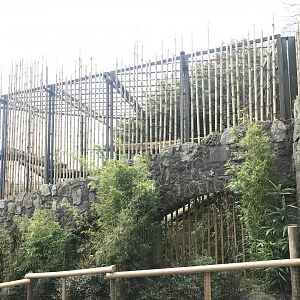 Female Sumatran tiger enclosure (2)
