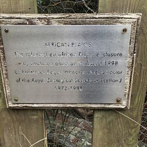 Zebra enclosure opening date