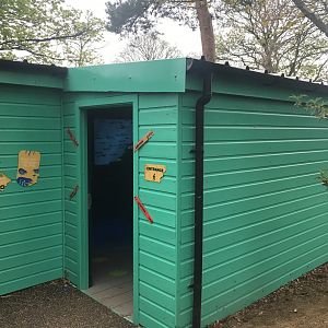 Virtual marine reptile experience