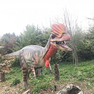Dilophosaurus