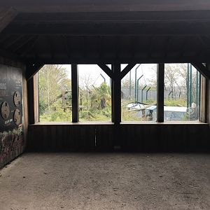 Sumatran tiger viewing area