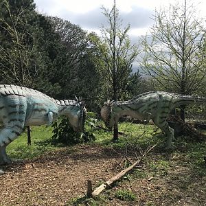 Pachycephalosauruses